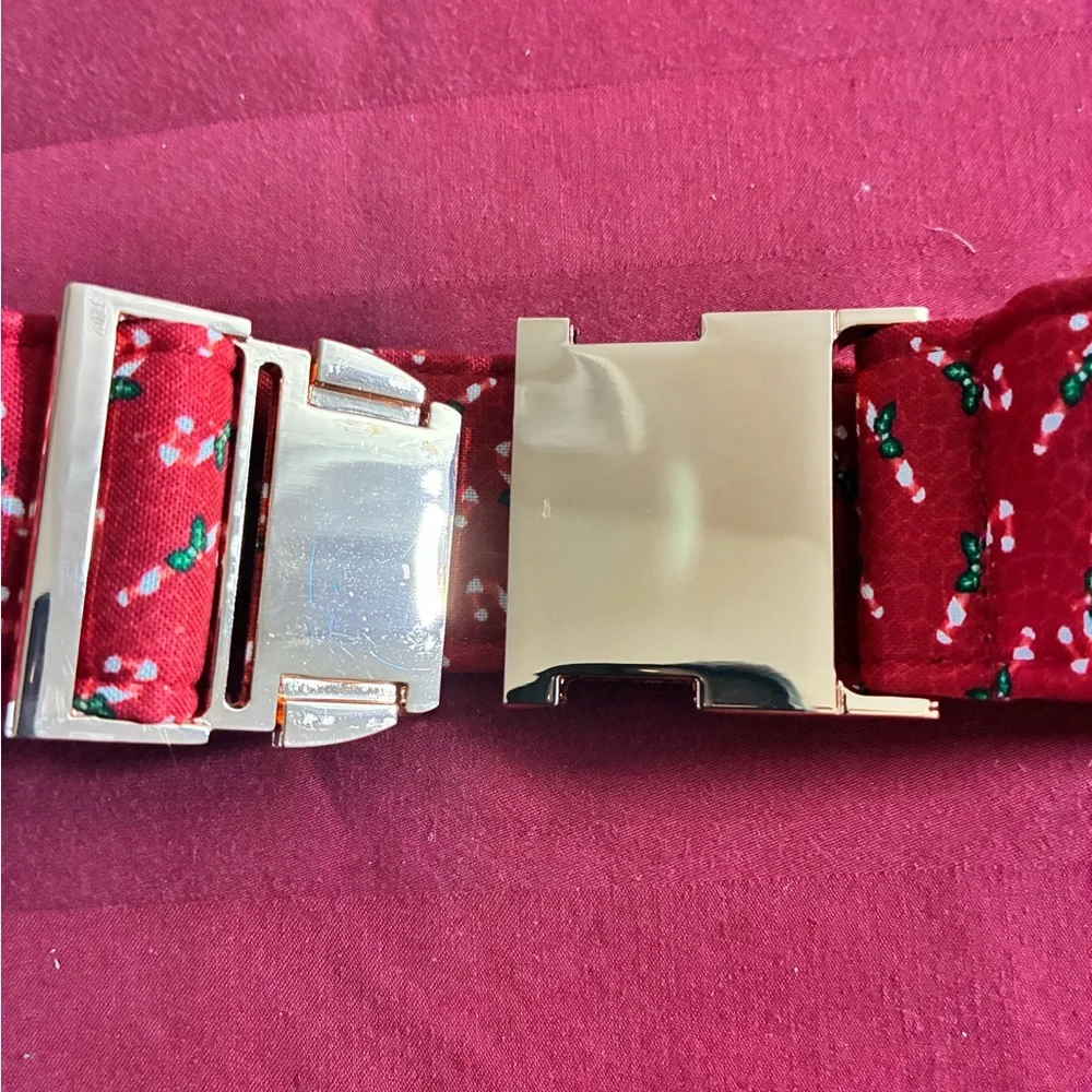 Lionet Paws Christmas Candy Cane Dog Collar & Bow Tie Set